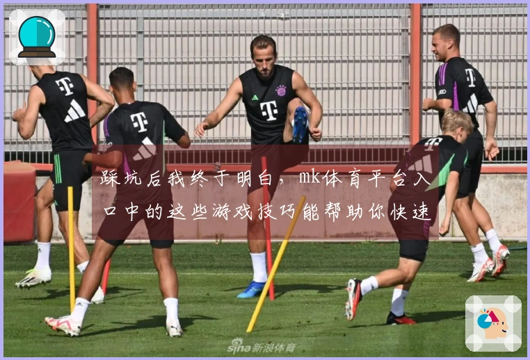 踩坑后我终于明白，mk体育平台入口中的这些游戏技巧能帮助你快速上手新玩法